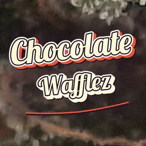 Chocolate Wafflez Cannabis Strain