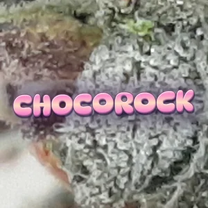 Chocorock Cannabis Strain