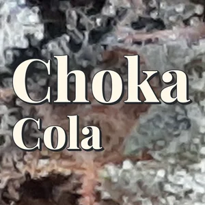 Choka Cola Cannabis Strain