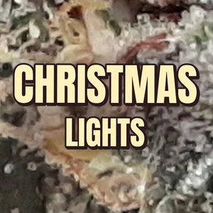 Christmas Lights Cannabis Strain