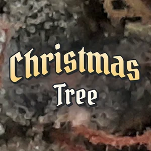 Christmas Tree Cannabis Strain
