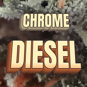 Chrome Diesel Cannabis Strain