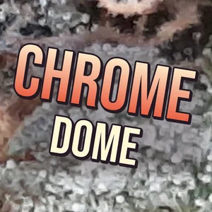 Chrome Dome Cannabis Strain