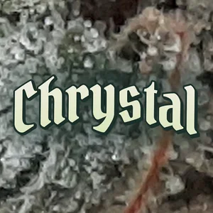 Chrystal Cannabis Strain