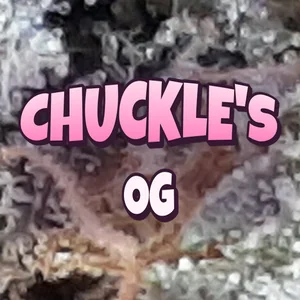 Chuckle's OG Cannabis Strain