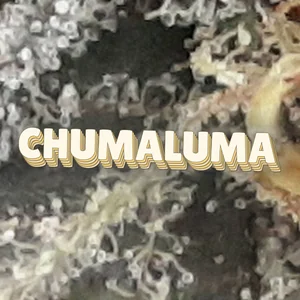 Chumaluma Cannabis Strain