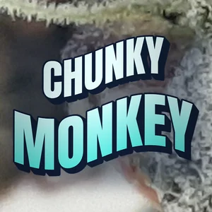 Chunky Monkey Cannabis Strain
