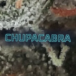 Chupacabra Cannabis Strain