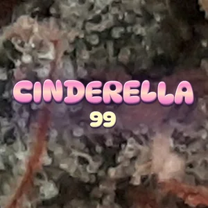 Cinderella 99 Cannabis Strain