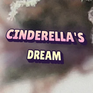 Cinderella's Dream Cannabis Strain