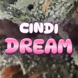 Cindi Dream Cannabis Strain
