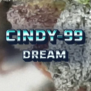 Cindy-99 Dream Cannabis Strain
