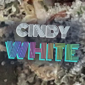 Cindy White Cannabis Strain