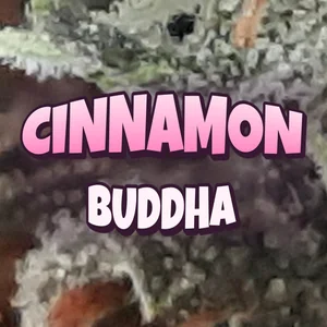 Cinnamon Buddha Cannabis Strain