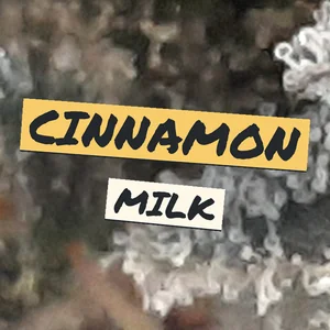 Cinnamon Milk Cannabis Strain