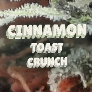 Cinnamon Toast Crunch Cannabis Strain
