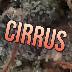 Cirrus Cannabis Strain
