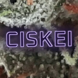 Ciskei Cannabis Strain