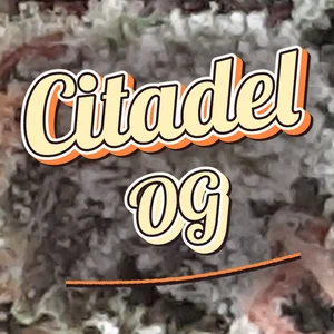 Citadel OG Cannabis Strain