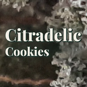 Citradelic Cookies Cannabis Strain