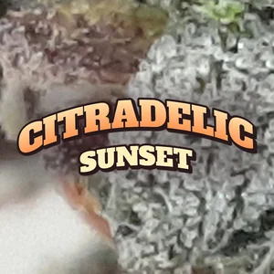 Citradelic Sunset Cannabis Strain