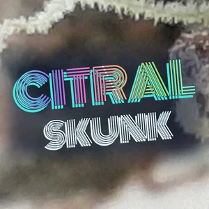 Citral Skunk Cannabis Strain