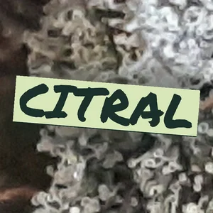 Citral Cannabis Strain