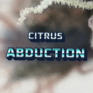 Citrus Abduction Cannabis Strain