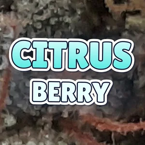 Citrus Berry Cannabis Strain