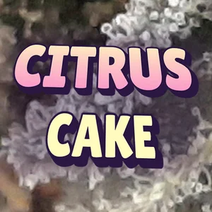 Citrus Cake Cannabis Strain