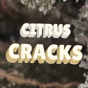 Citrus Cracks Cannabis Strain
