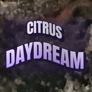 Citrus Daydream Cannabis Strain