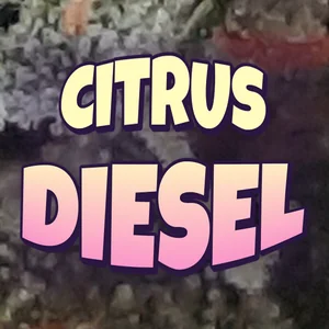 Citrus Diesel Cannabis Strain
