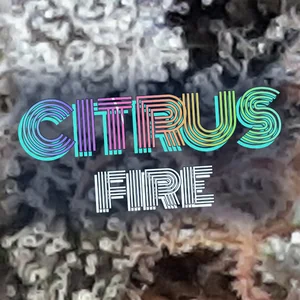 Citrus Fire Cannabis Strain
