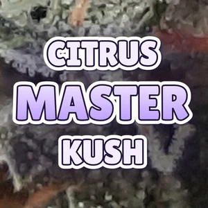 Citrus Master Kush Cannabis Strain