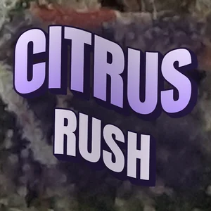 Citrus Rush Cannabis Strain