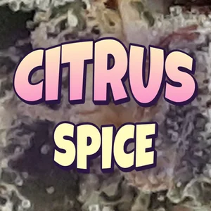 Citrus Spice Cannabis Strain