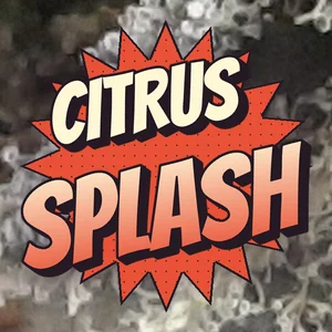 Citrus Splash Cannabis Strain