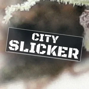 City Slicker Cannabis Strain