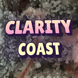Clarity Coast Cannabis Strain