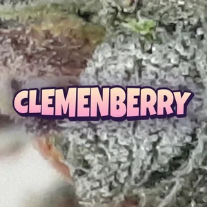 Clemenberry Cannabis Strain