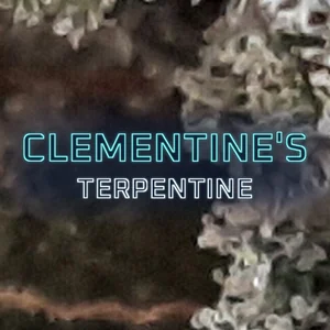 Clementine's Terpentine Cannabis Strain