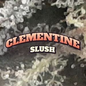 Clementine Slush Cannabis Strain