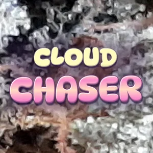 Cloud Chaser Cannabis Strain