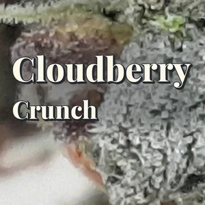 Cloudberry Crunch Cannabis Strain