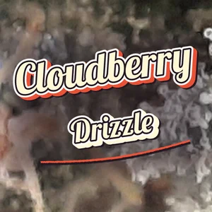 Cloudberry Drizzle Cannabis Strain