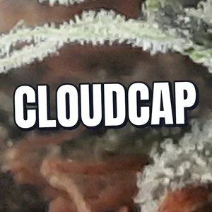 CloudCap Cannabis Strain
