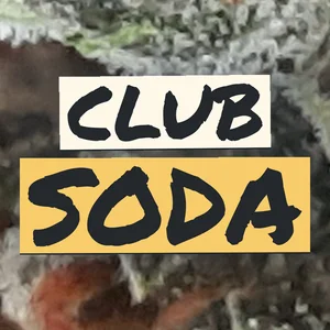 Club Soda Cannabis Strain