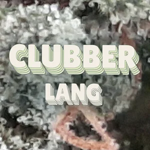 Clubber Lang Cannabis Strain
