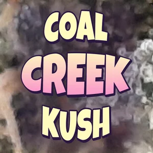 Coal Creek Kush Cannabis Strain